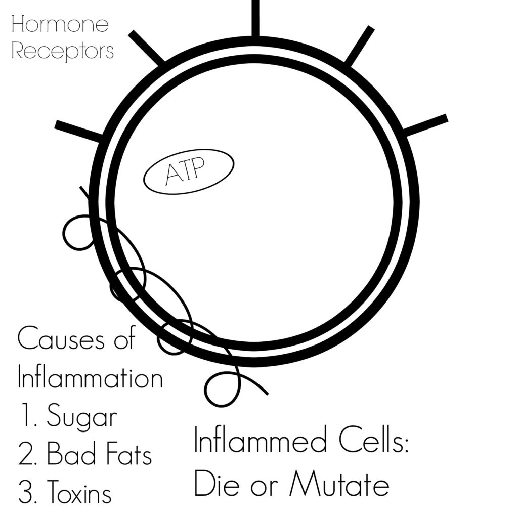Cellular Inflammation